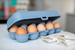 Tojásos doboz EGGS TO GO, 10 tojásnak, KOZIOL
