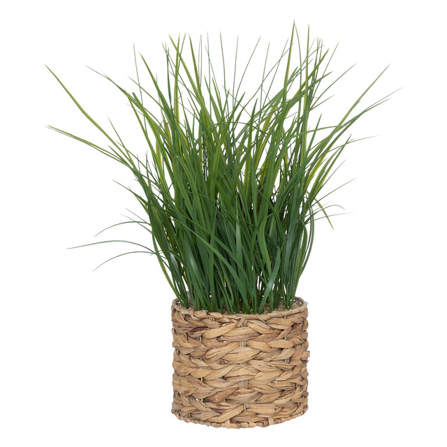 Műfű vízi hialintusban, 70 cm magas.