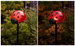 Napelemes kerti lámpák, LED katica, 14 cm, 4 db