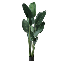Mesterséges banánfa, 185 cm magas